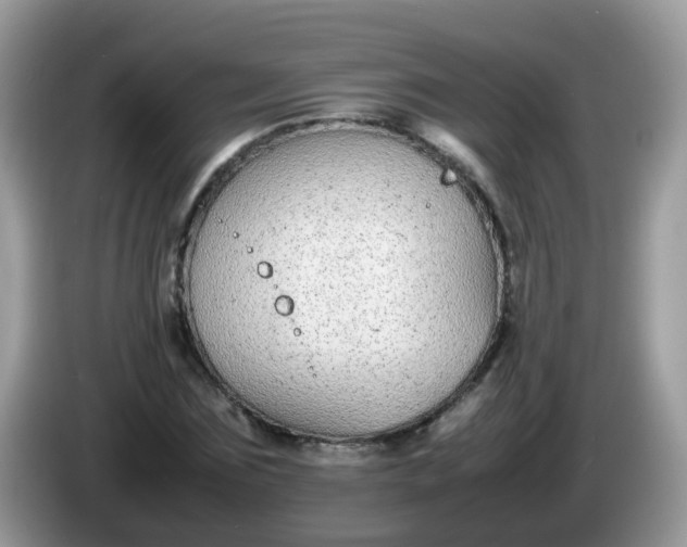 X0000086240875200704121932