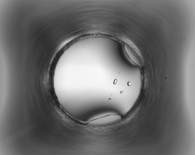 X0000086240876200704121932