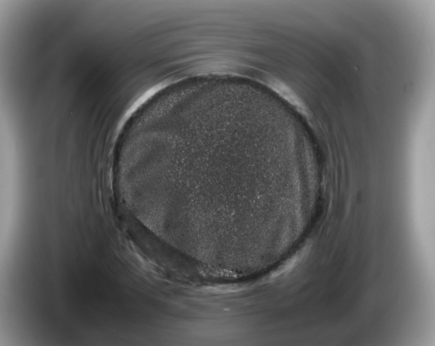 X0000086240877200704121932