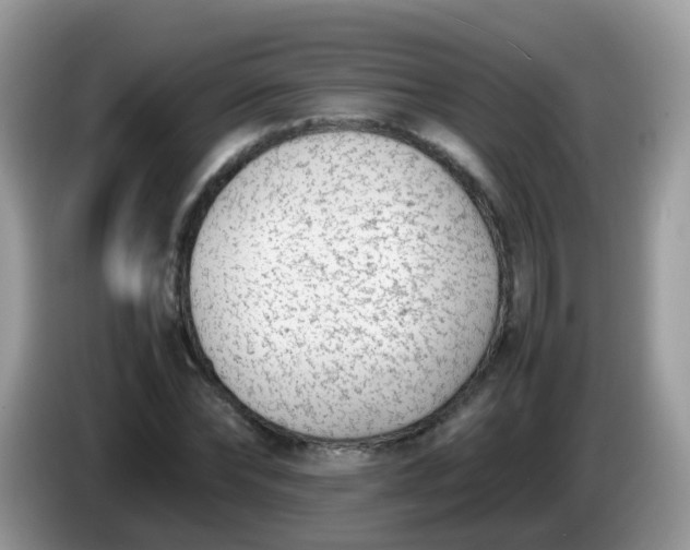 X0000086240878200704121932