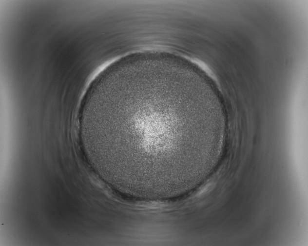 X0000086240879200704121932