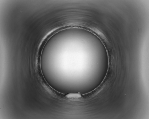 X0000086240880200704121931