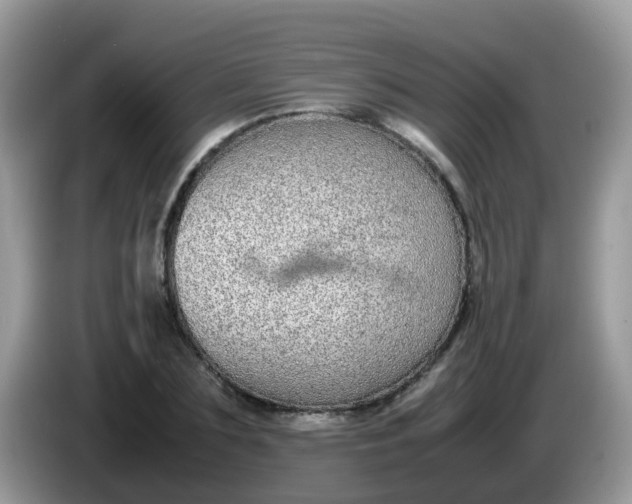 X0000086240883200704121931