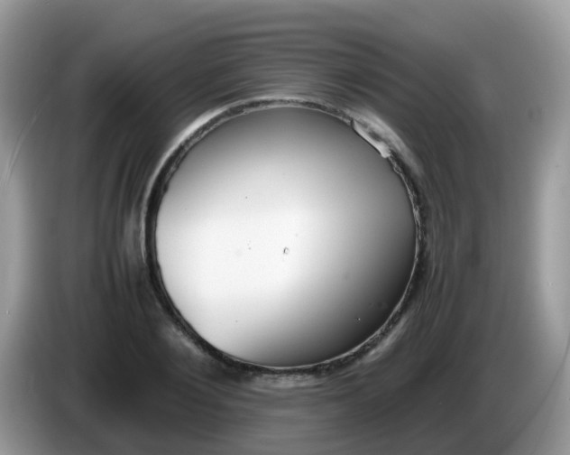 X0000086240884200704121931