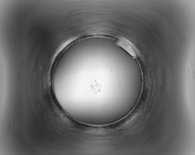 X0000086240885200704121931