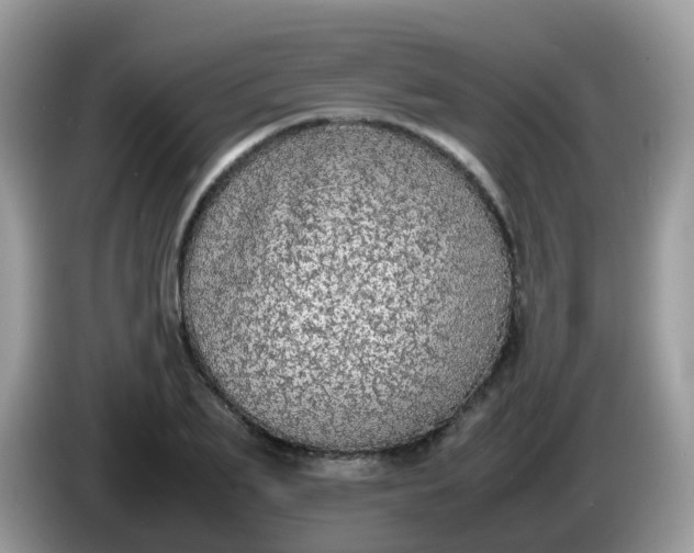 X0000086240887200704121931