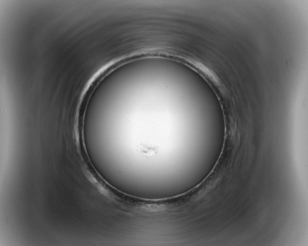 X0000086240888200704121931