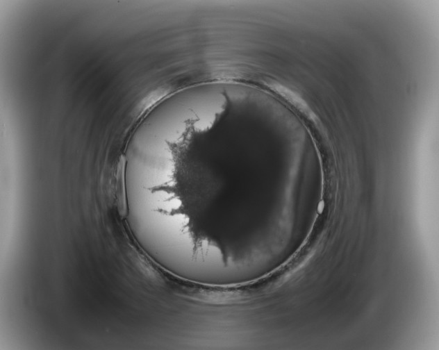 X0000086240889200704121931