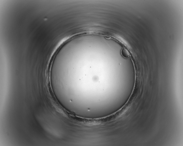 X0000086240891200704121931