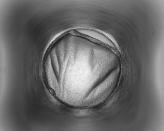 X0000086240895200704121931