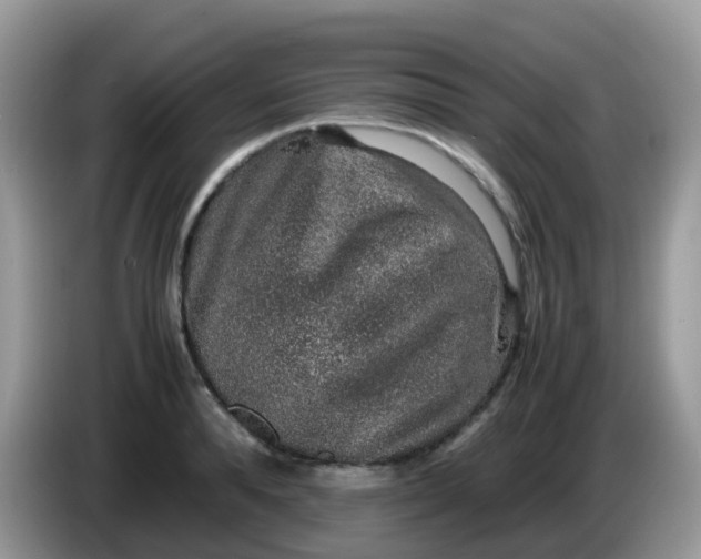 X0000086240896200704121931