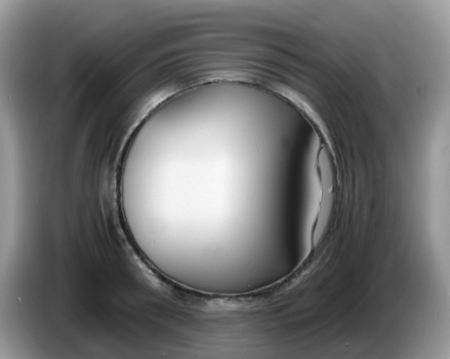 X0000086240898200704121931