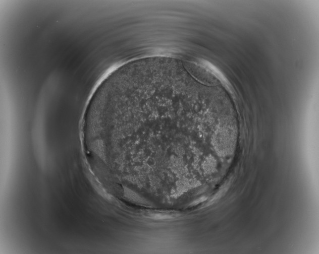 X0000086240899200704121931