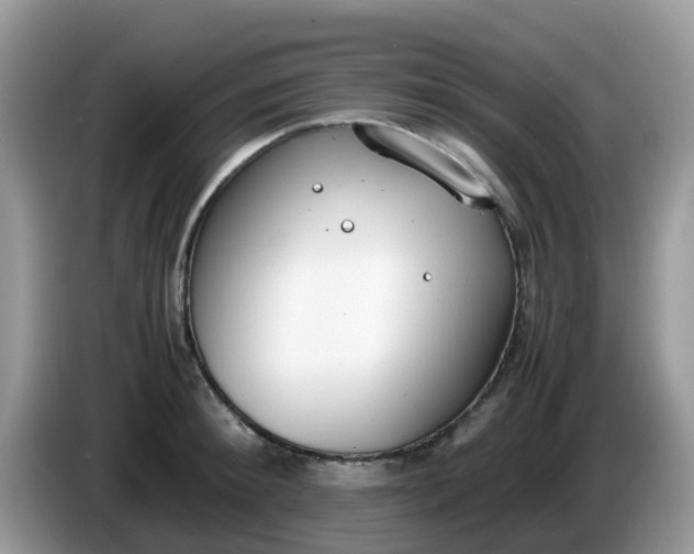 X0000086240900200704121931