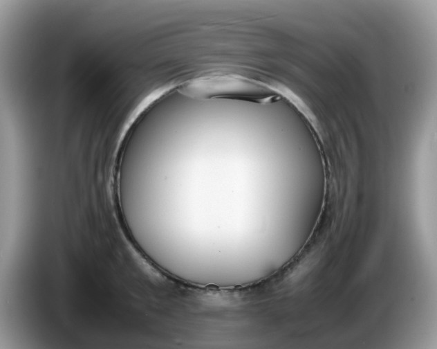 X0000086240901200704121931