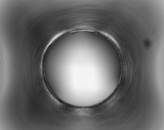 X0000086240902200704121931