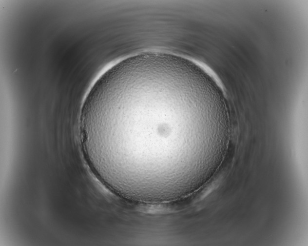 X0000086240903200704121931