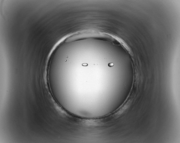 X0000086240904200704121931