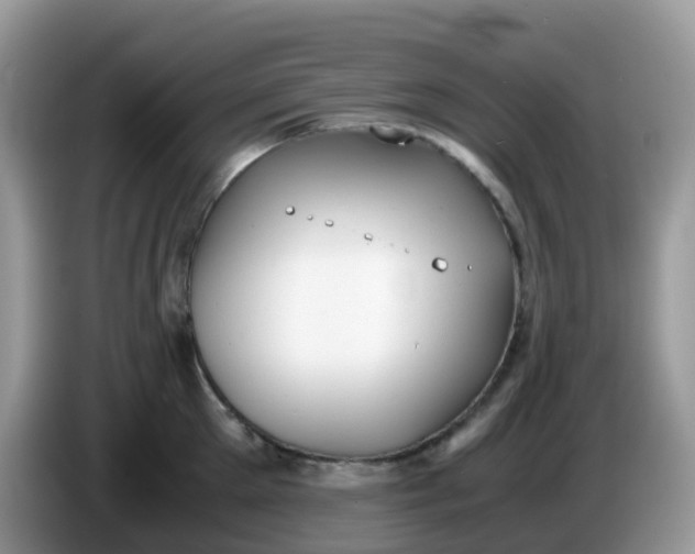 X0000086240905200704121931