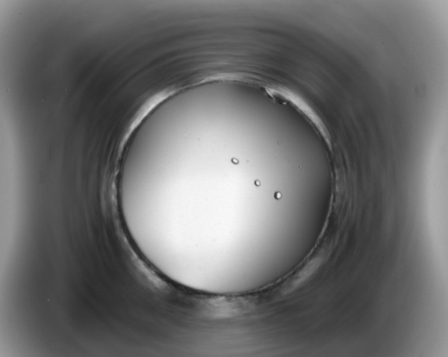 X0000086240906200704121931