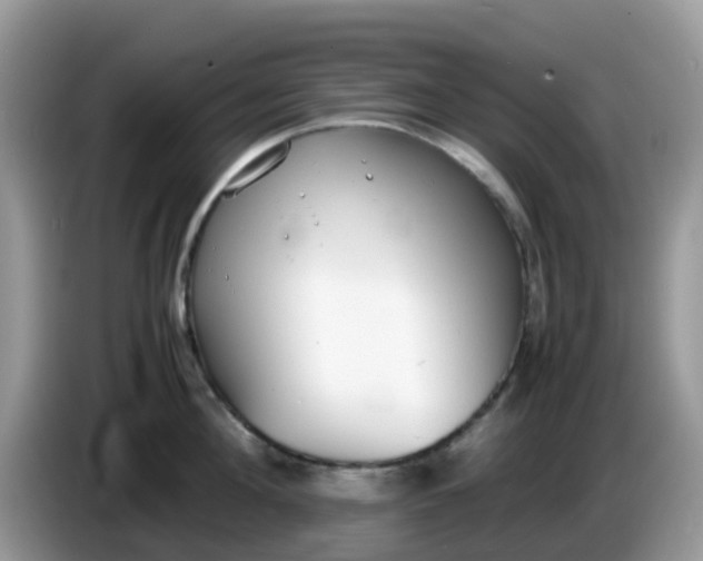 X0000086240908200704121931