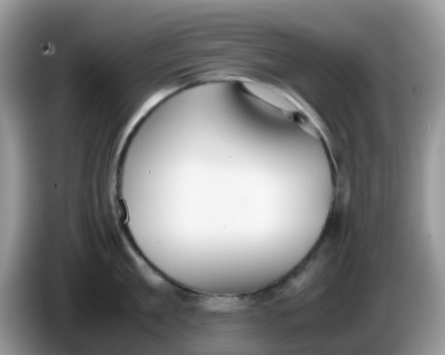 X0000086240909200704121931