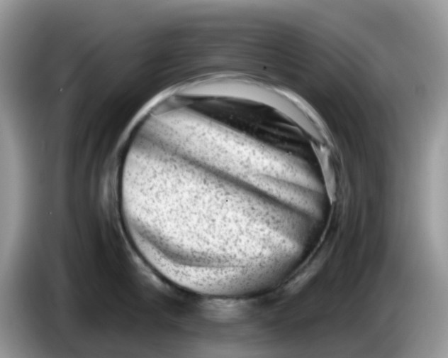 X0000086240910200704121931