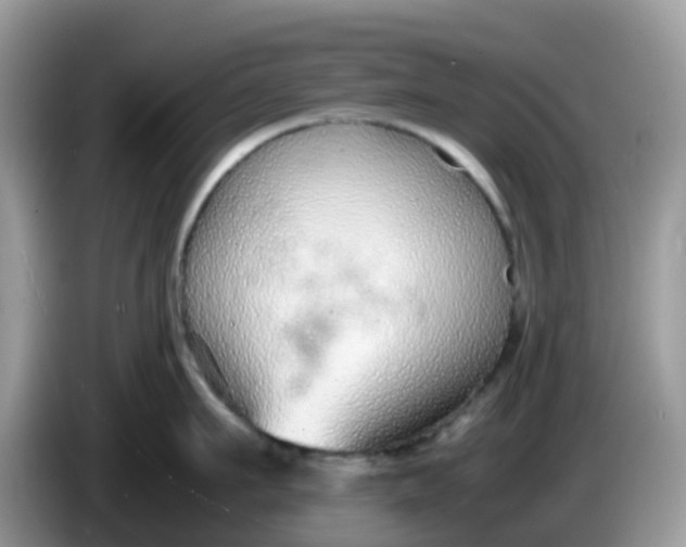 X0000086240911200704121931