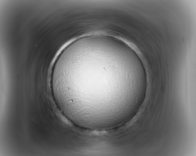 X0000086240912200704121931