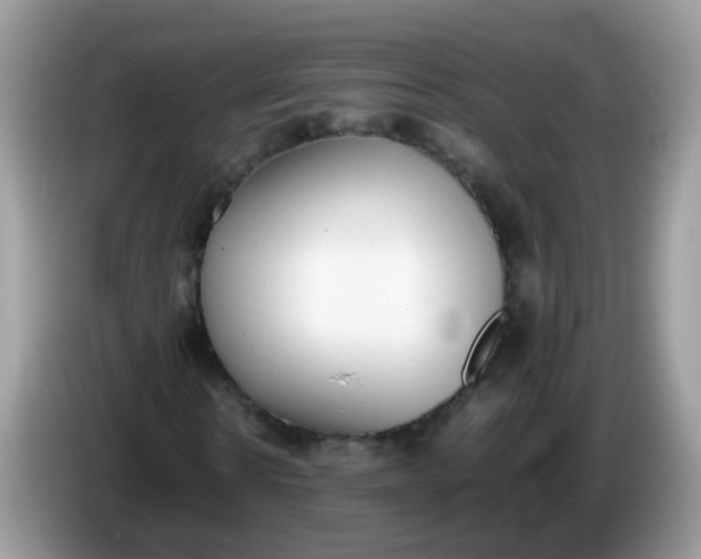 X0000086240914200704121931