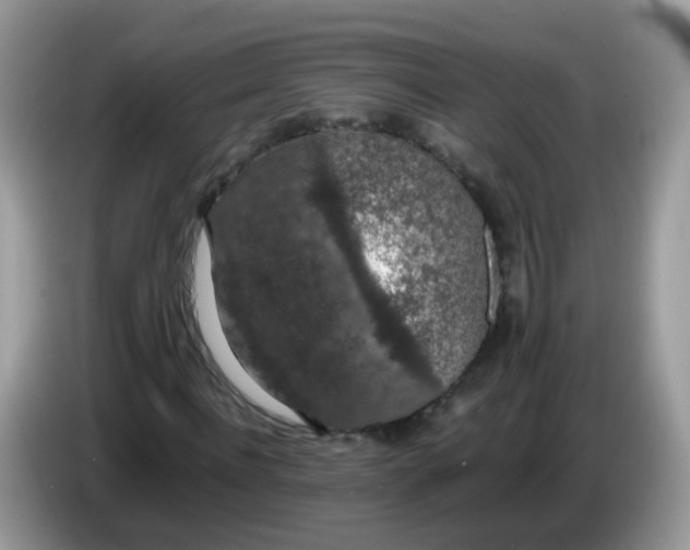 X0000086240916200704121931
