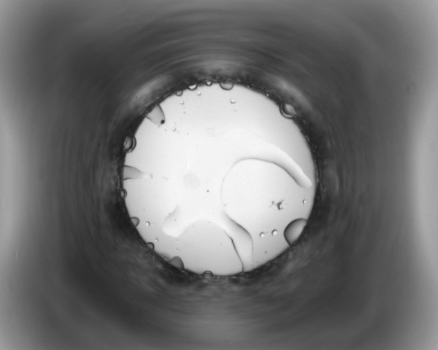 X0000086240918200704121931