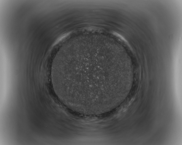 X0000086240919200704121931