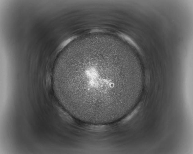 X0000086240921200704121931