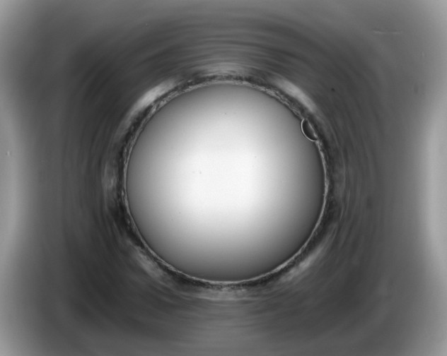 X0000086240922200704121931