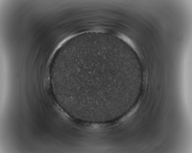 X0000086240923200704121931