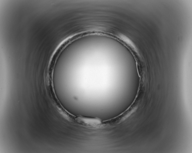 X0000086240924200704121931