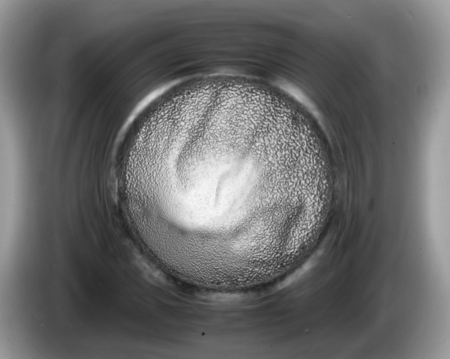 X0000086240925200704121931