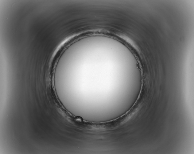 X0000086240927200704121931