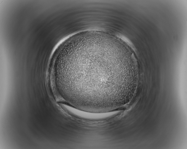 X0000086240928200704121931