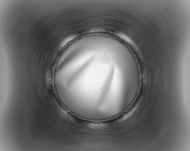 X0000086240929200704121931