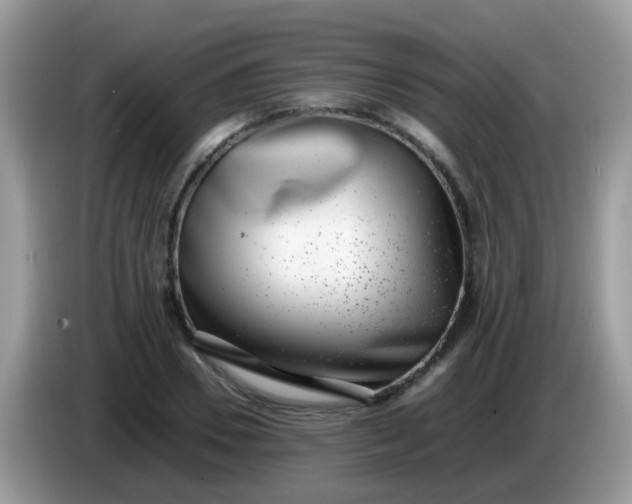 X0000086240930200704121931