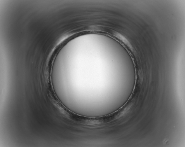 X0000086240931200704121931