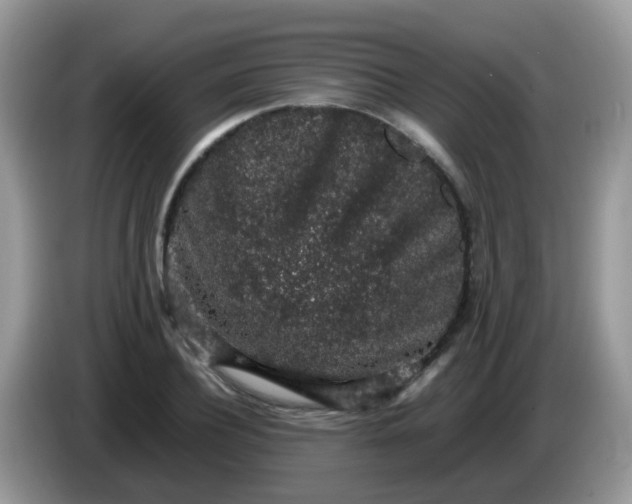 X0000086240932200704121931