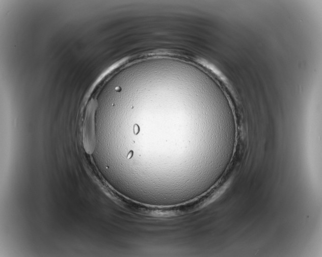 X0000086240933200704121931
