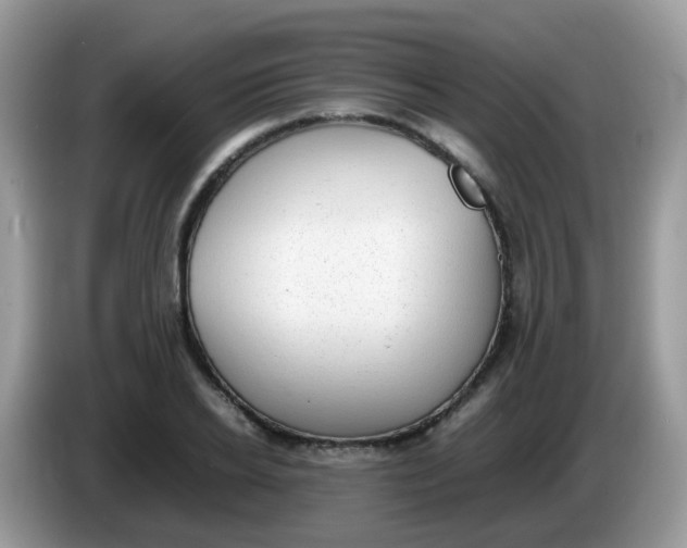 X0000086240934200704121931