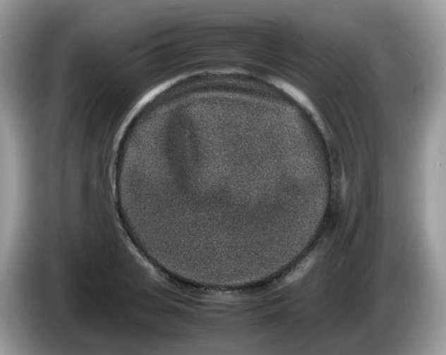 X0000086240935200704121931