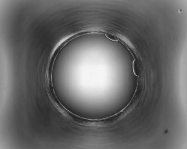 X0000086240936200704121931