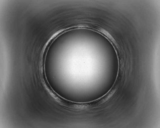 X0000086240939200704121931