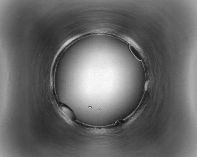 X0000086240940200704121931